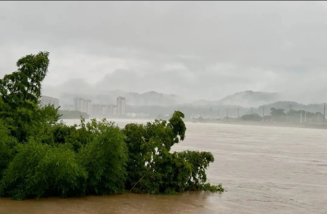 黃山歙縣突發(fā)洪水被淹！近百家企業(yè)受到影響！原材料或?qū)嘭涬y采購(gòu)