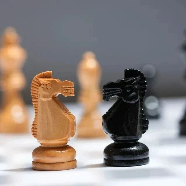 難得一見！湖南來粉末涂料新建項目了